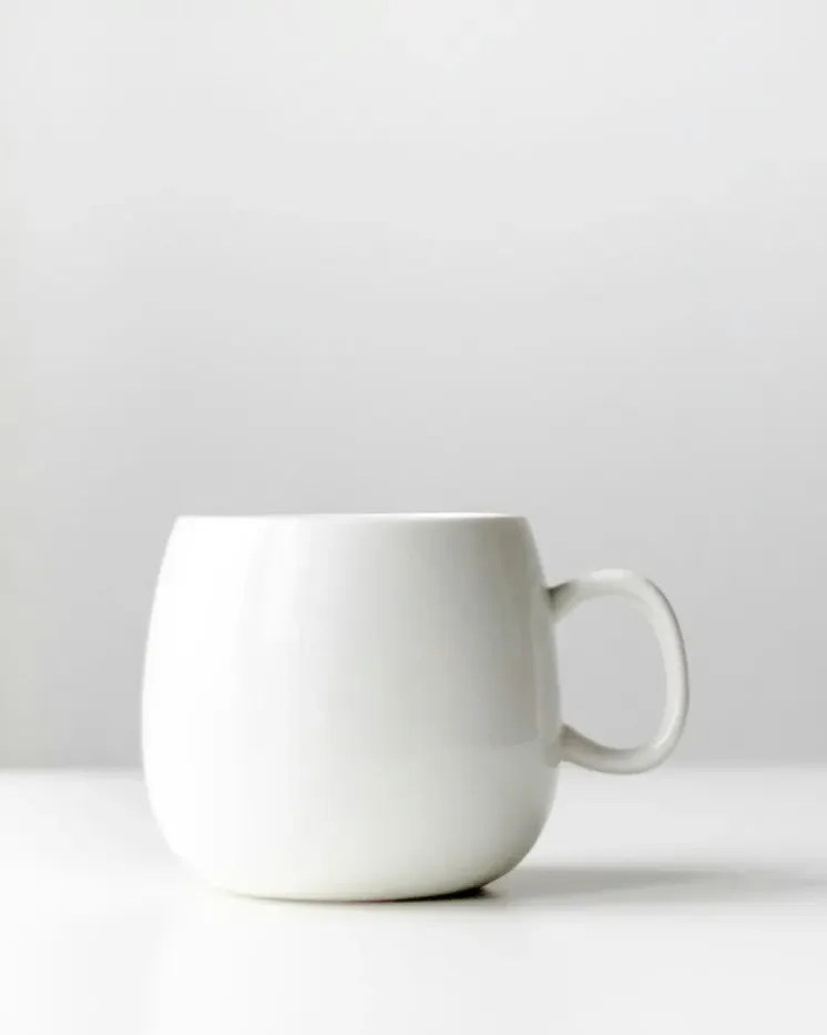 HO JAYEGA — Mug